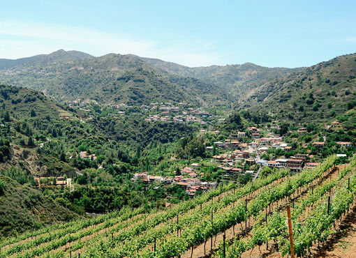 marathasa vineyards Kalopanayiotis