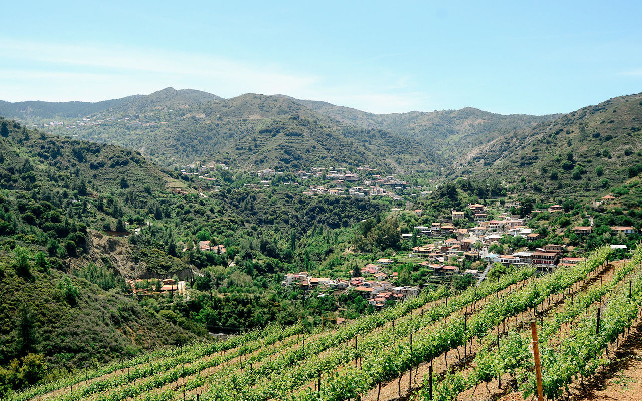 marathasa vineyards Kalopanayiotis