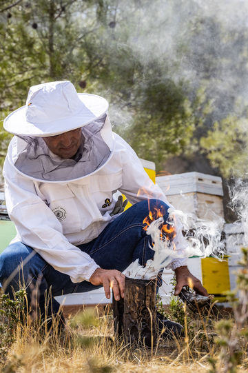 beekeeping honey